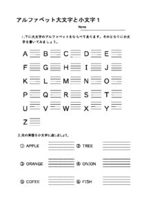 oomojitokomoji1のサムネイル